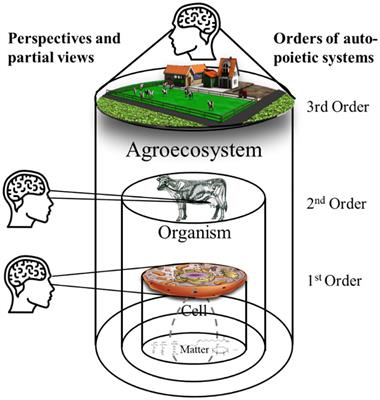 Why has animal science not led to improved farm animal health and welfare?